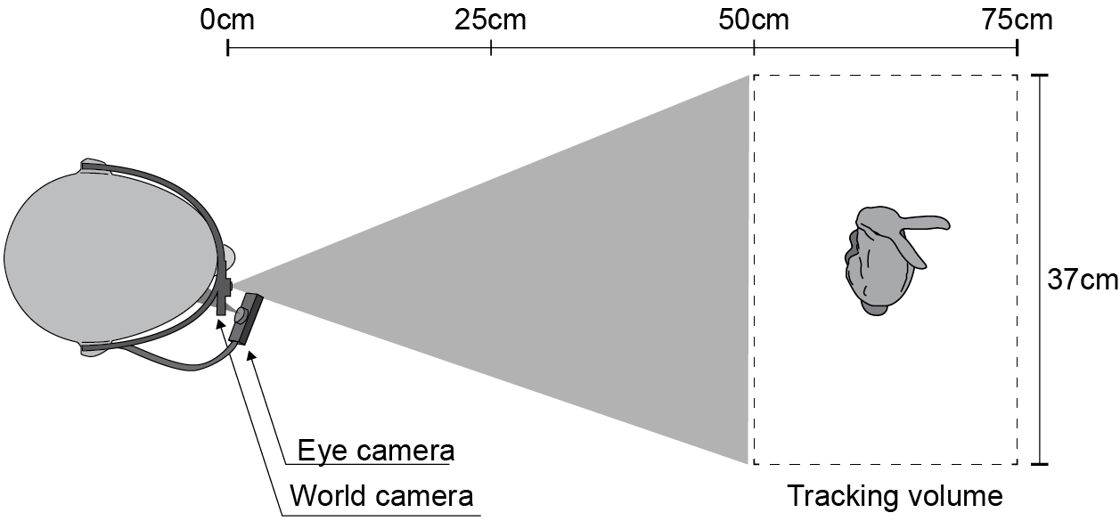 Accuracy of Monocular Gaze Tracking on 3D Geometry